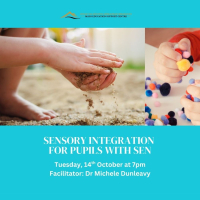 Sensory Integration for pupils with SEN